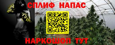 гашиш Дубна